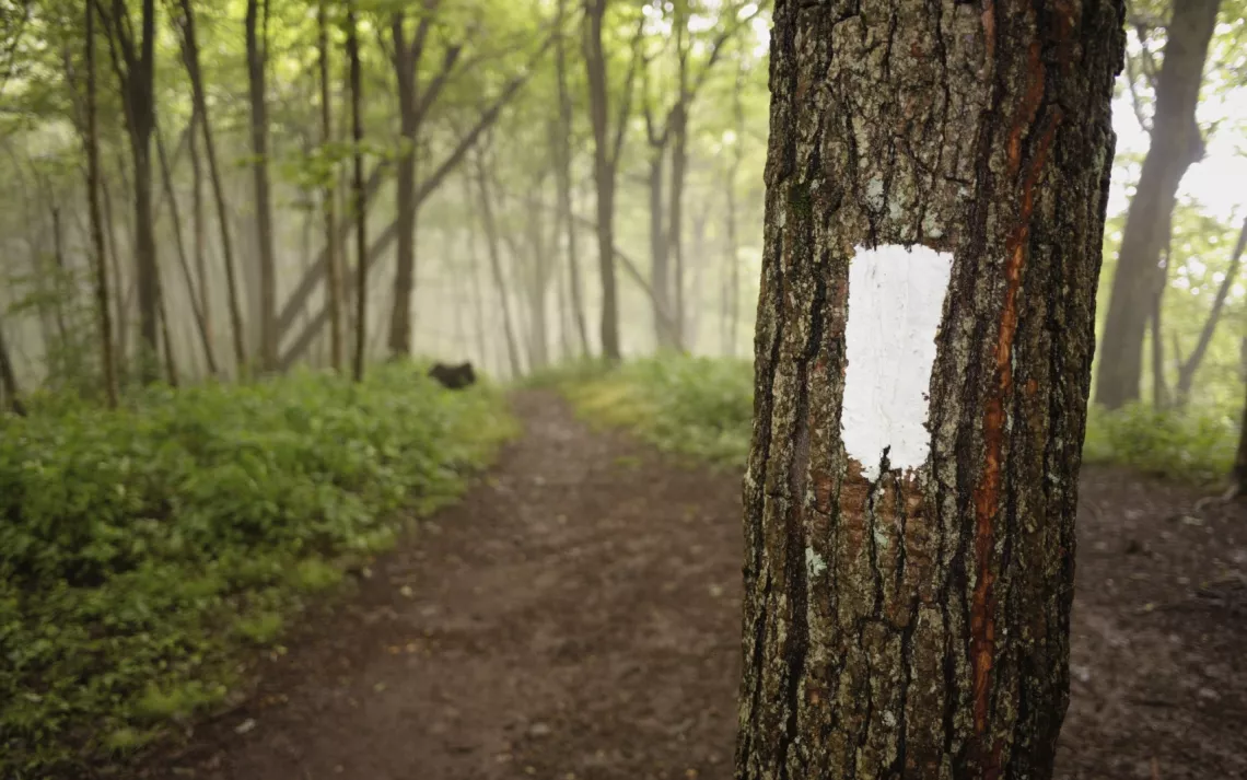 Connaissez vous lhistoire de la première femme à parcourir le sentier