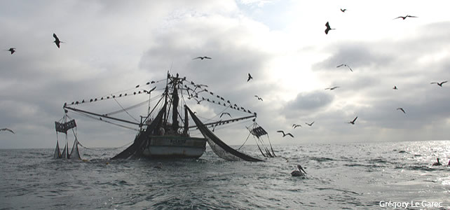 L'Indonésie coule des dizaines de bateaux pratiquant la pêche illégale 