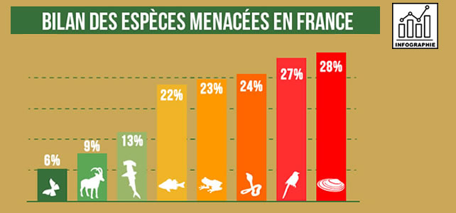 La Biodiversité Française Menacée Résumée En Infographie