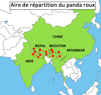 Le Panda Roux, Une Espèce En Danger à L'état SauvageEspèces-menacées.fr