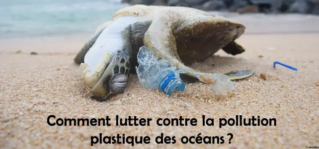 Pourquoi et comment lutter contre la  pollution  plastique 