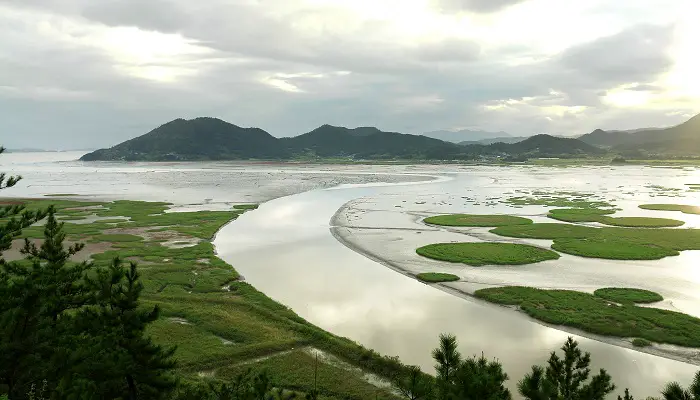 Baie de Suncheon