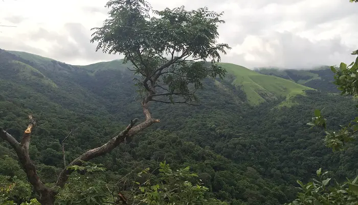 Gombe, Tanzanie