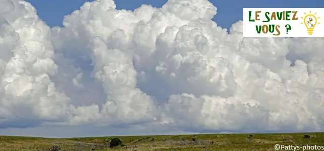 Dans L Atmosphere Le Premier Gaz A Effet De Serre Est La Vapeur D Eau