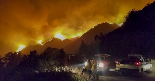 Une faune rare dans les comtés de Ventura et de Los Angeles menacée par des incendies de forêt