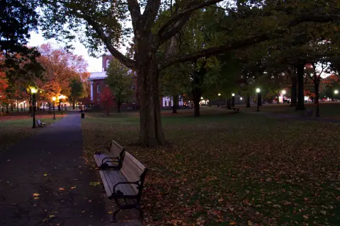 Crépuscule dans un parc avec deux bancs au premier plan et des lampadaires en arrière-plan