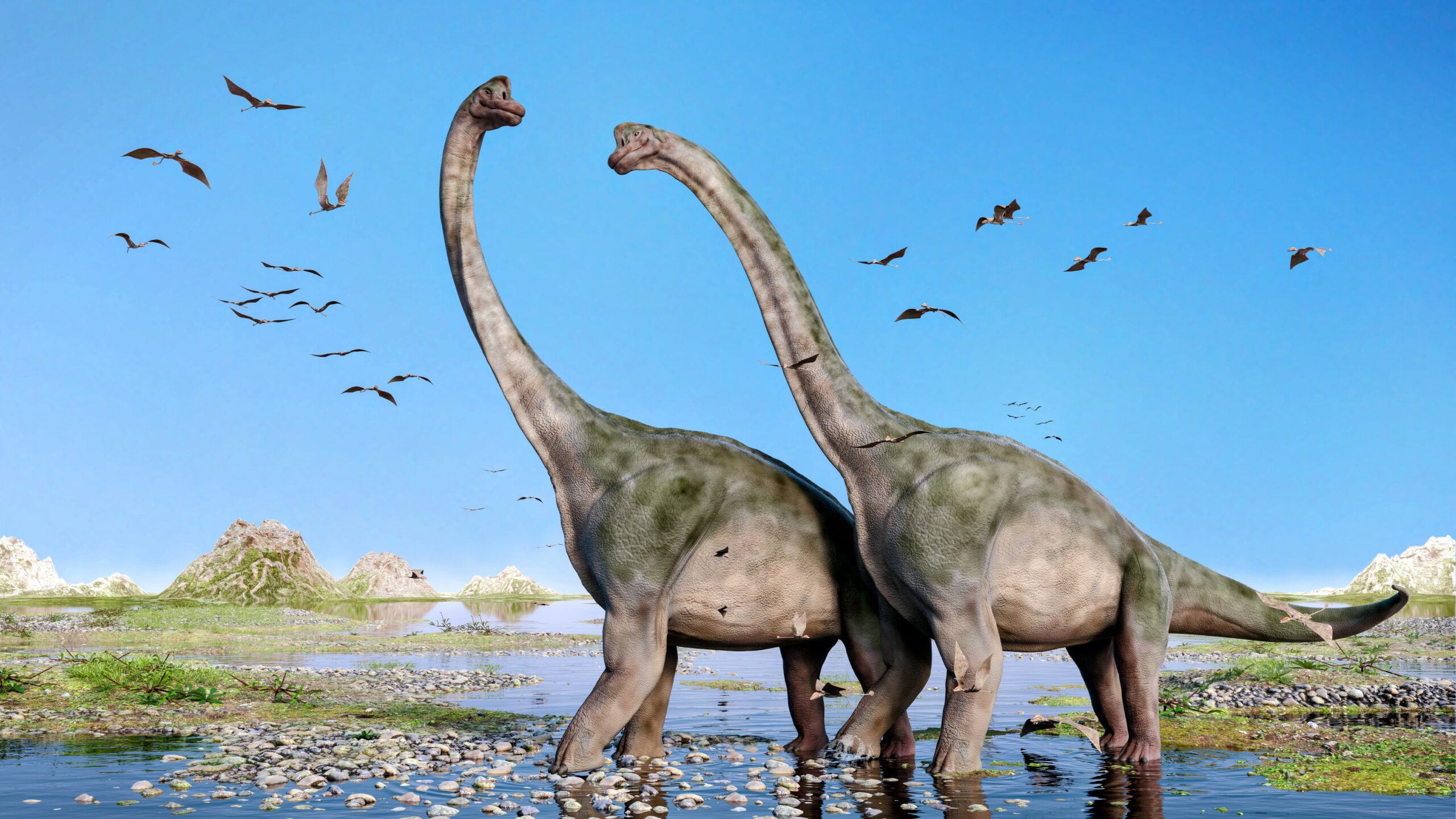 Des sauropodes découverts en Chine - Sciences et Avenir