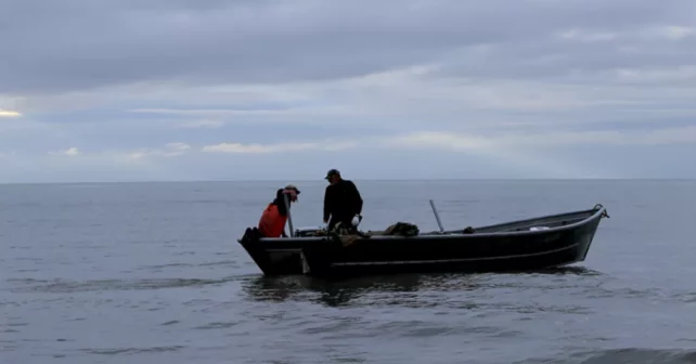 Les pêcheurs dépendent du saumon qui fraye dans le bassin versant de Chuitna