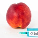 6 aliments génétiquement modifiés méconnus, le dernier va vous surprendre