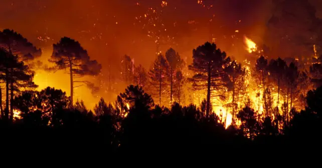 Incendios forestales Talaván Víznar