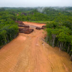 Il est urgent de présenter la loi sur la déforestation importée au Congrès