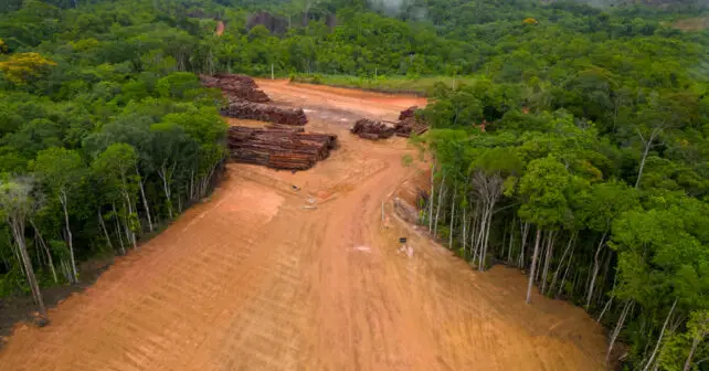 Alianza Cero Deforestación Ley Congreso