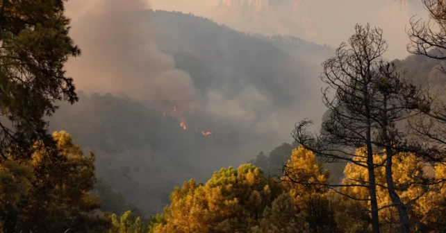 Incendio forestal El Pueyo de Araguán Huesca