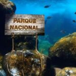 L'Espagne possède déjà son premier parc national marin : le Mar de las Calmas