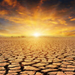 La triple crise planétaire affecte négativement l'environnement