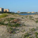 Le projet RESALAR a eu la contribution des habitants de La Manga del Mar Menor