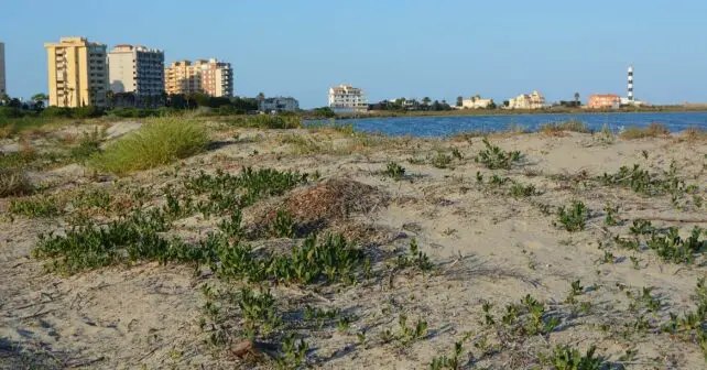 Proyecto RESALAR habitantes La Manga del Mar Menor