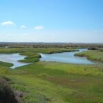 Polémique sur le parc naturel de la Bahía de Cádiz