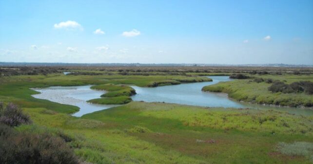 Parque Natural Bahía de Cádiz Andalucía