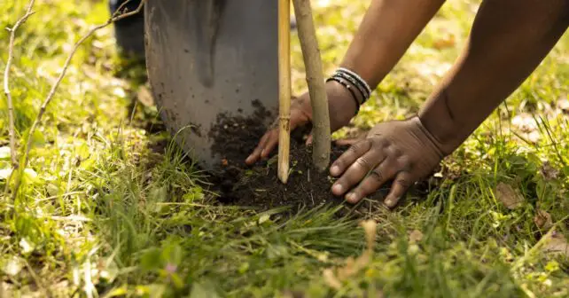 ecologistas en acción ONG