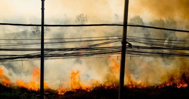 incendios forestales