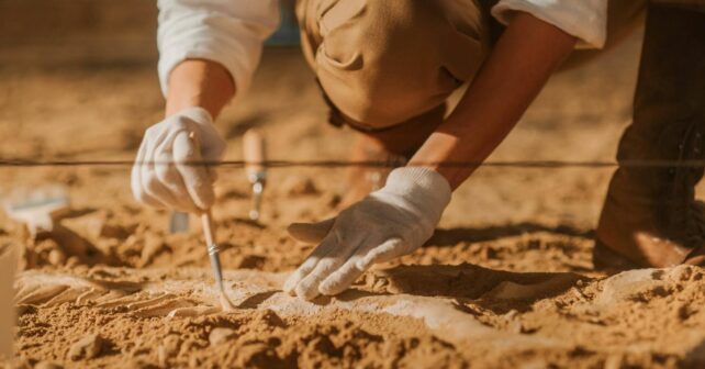 Selvas Australia descubren insectos acuáticos