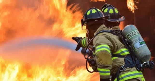 Deforestación incendios forestales cambio climático