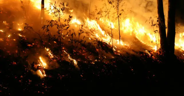 Cambio climático incendios forestales 2023