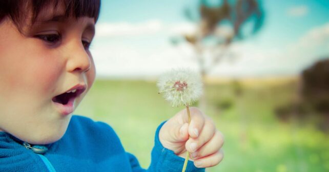 naturaleza niños