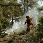 Incendie de forêt à Corbalán (Teruel), maîtrisé