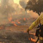 L'incendie de forêt dans la Sierra de Andújar (Jaén) est désormais stabilisé