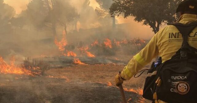 Incendio forestal Sierra Andújar Jaén