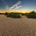 Les facteurs de stress environnementaux affectent négativement les écosystèmes terrestres