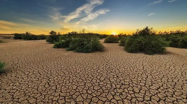 Estresores ambientales ecosistemas terrestres cambio global