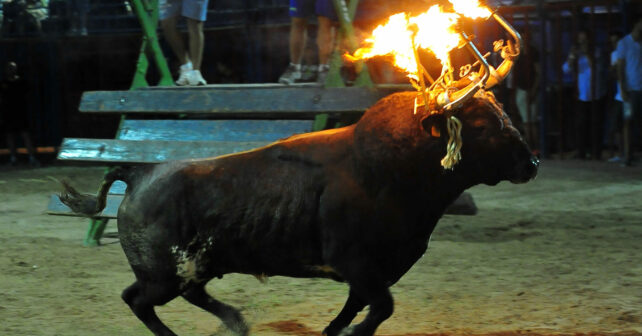 bous al carrer Alfafar