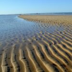 Origine de l'assèchement des lagunes péridunaires de Doñana