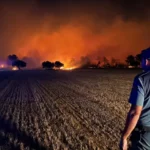 Un incendie de forêt à Zamora oblige à couper la N-122 et à évacuer Sejas de Aliste