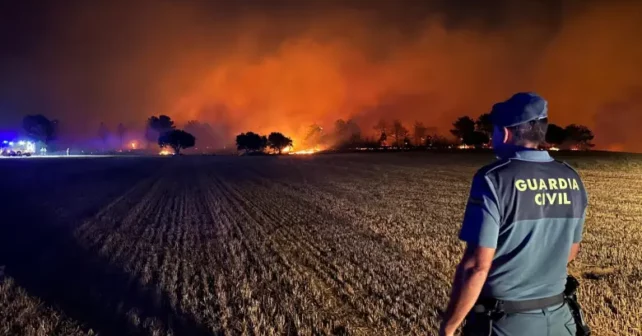 Incendio forestal Zamora Sejas de Aliste N-122