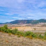 Aragon : Bioéconomie forestière pour le développement de l'écosystème rural