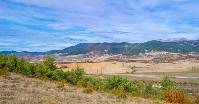 Aragón: BioEconomía Forestal para el desarrollo del ecosistema rural