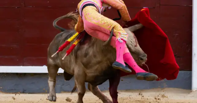 Eliminan Premio Nacional Tauromaquia BOE