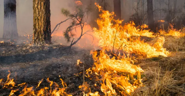 Incendio forestal Brañuelas León