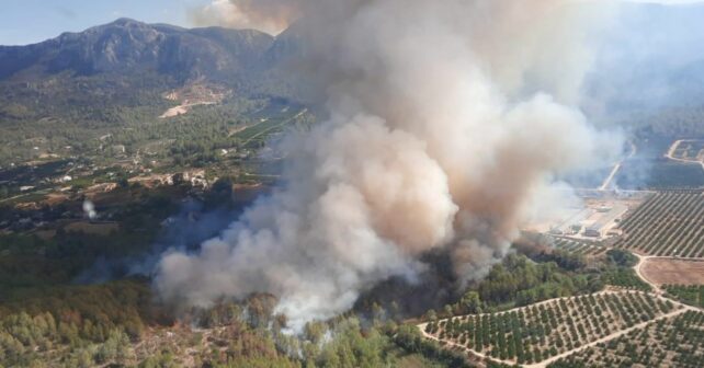 Parque Natural Montsant incendio forestal Cabacés