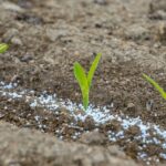 Les déchets azotés en agriculture sont mortels pour la nature