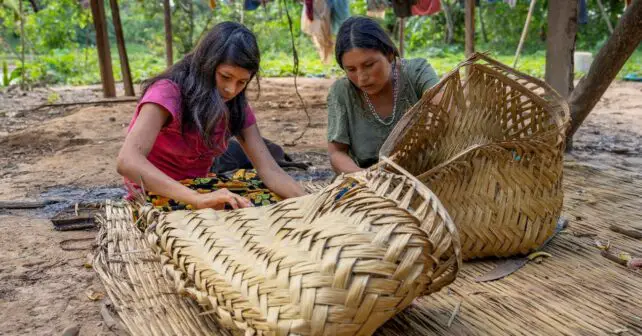 Los pueblos indígenas son primordiales en la conservación de la biodiversidad del Planeta