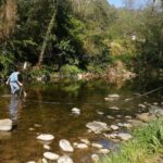 Red Cambera recherche des volontaires pour la conservation des rivières en Cantabrie