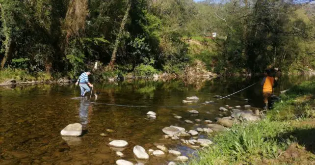 Proyecto Ríos Cantabria