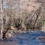 Réseau Natura du bassin fluvial de Guadalix: ils veulent construire un millier de maisons à côté de l'espace protégé