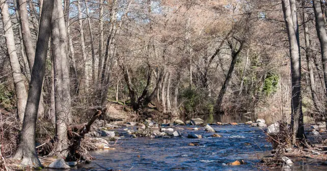 Red Natura Cuenca río Guadalix construir millar viviendas