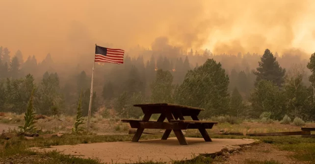 Des arbres brûlent à l'horizon au-delà d'un drapeau américain près d'un banc de parc vide